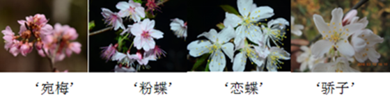 截图1678674244.png