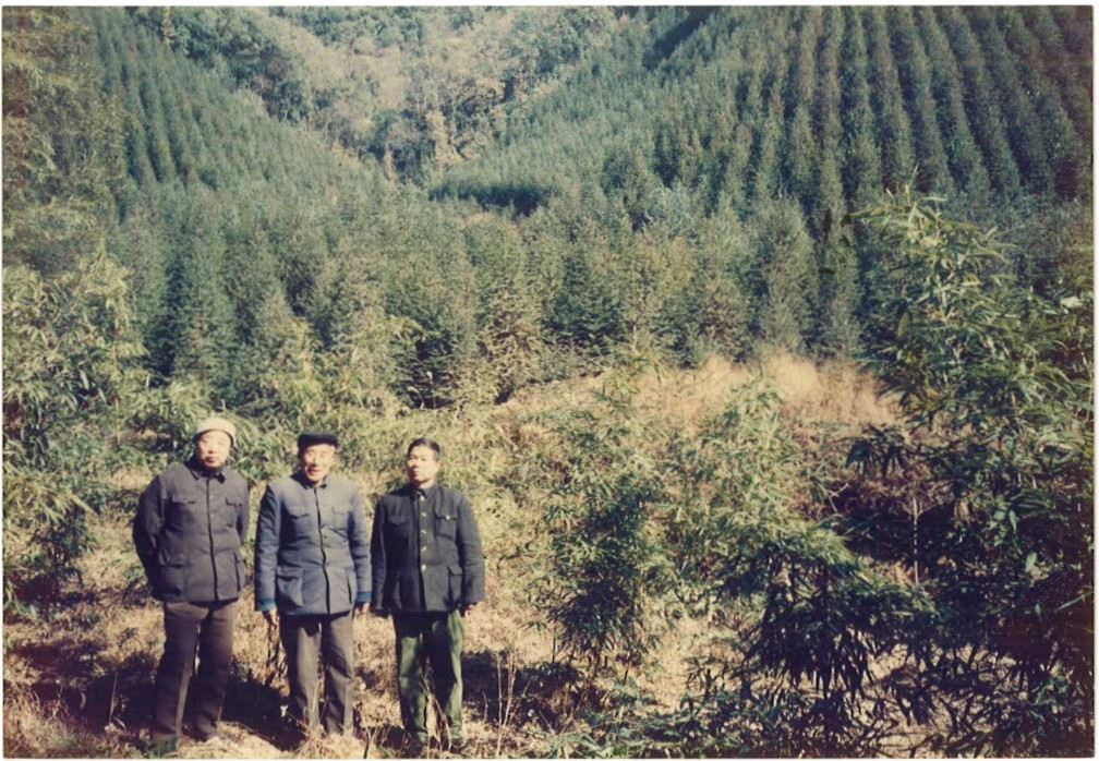 7、林场退休工人在黄梅坞林区留影1990.12.07.jpg